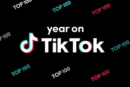 Graphic with 'Year on TikTok' centered, surrounded by 'TOP 100' in stylized text, signifying popular content on the platform.